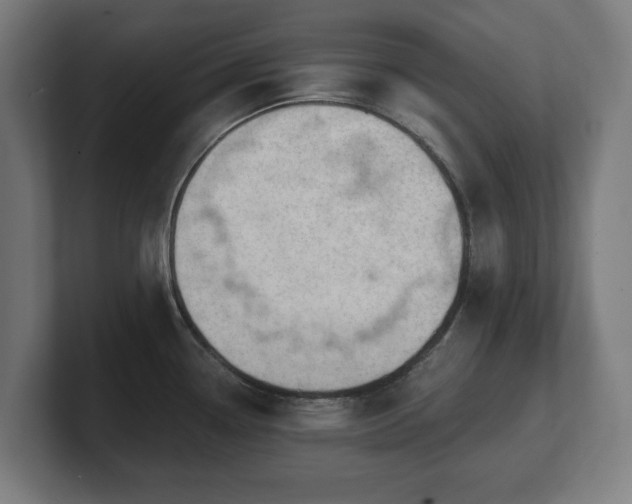 X0000101701338200807171506