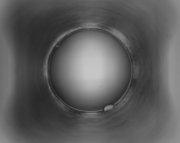 X0000101701342200807171506