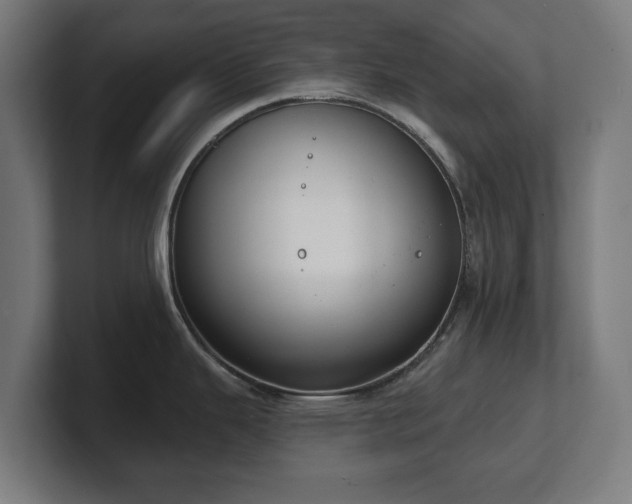 X0000101701343200807171506