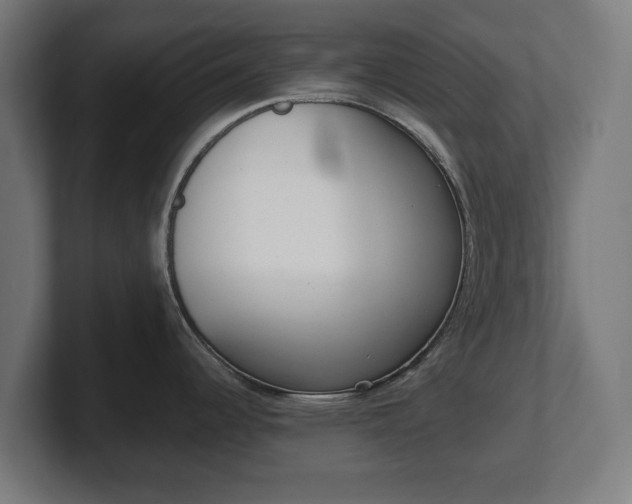 X0000101701344200807171506