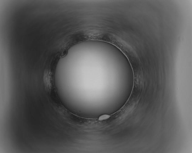 X0000101701346200807171506