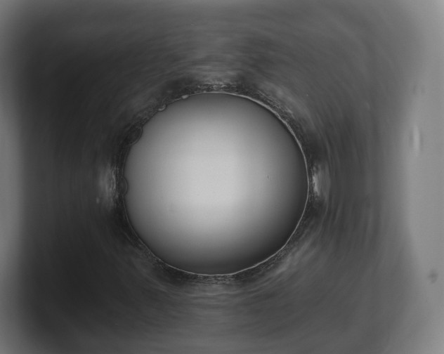 X0000101701347200807171506