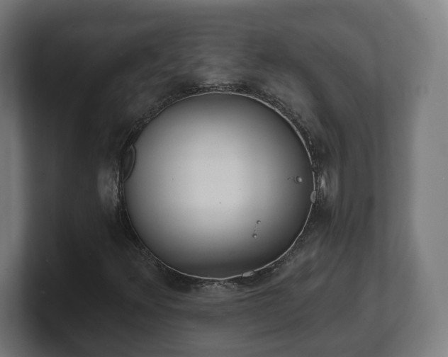 X0000101701348200807171506