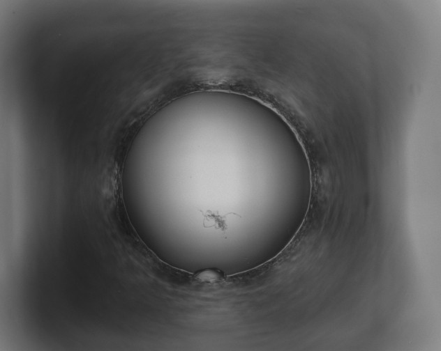 X0000101701349200807171506