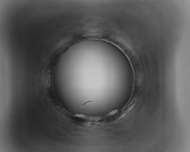 X0000101701350200807171506