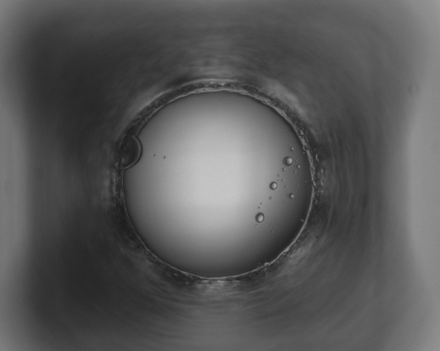 X0000101701352200807171506