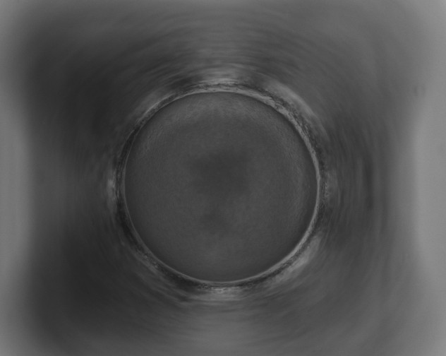 X0000101701353200807171506