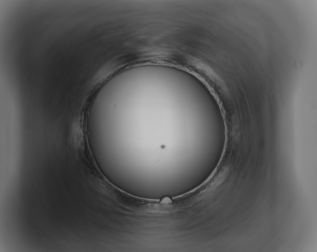 X0000101701354200807171506