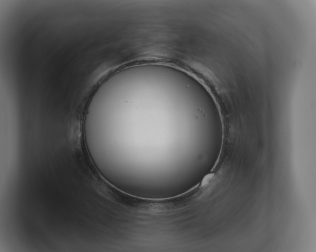 X0000101701355200807171506