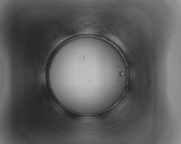 X0000101701356200807171506