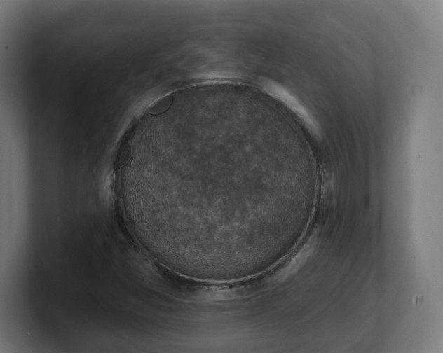 X0000101701357200807171506