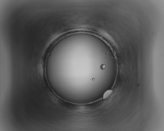 X0000101701360200807171506