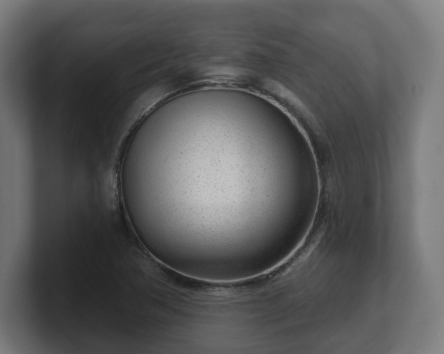 X0000101701362200807171506