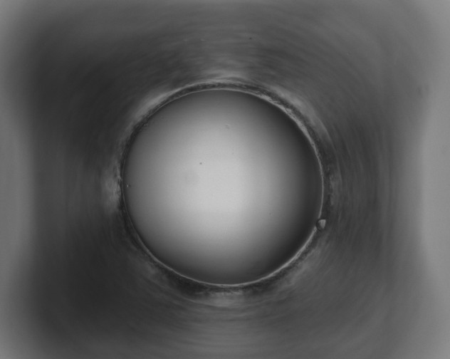 X0000101701363200807171506