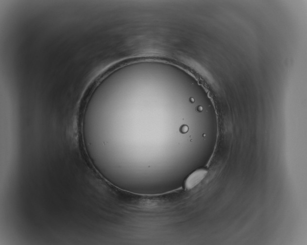 X0000101701364200807171506