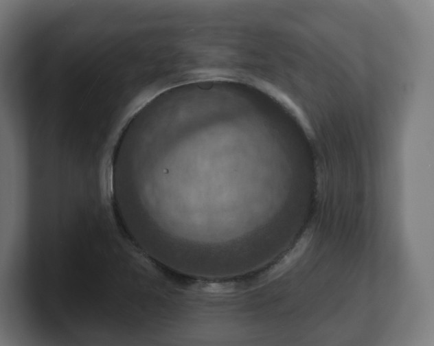 X0000101701365200807171506