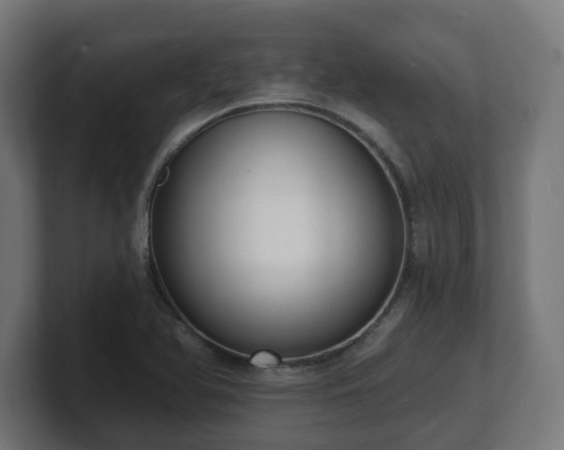 X0000101701366200807171506