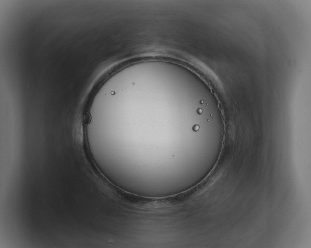 X0000101701368200807171506