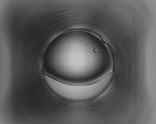 X0000101701369200807171506