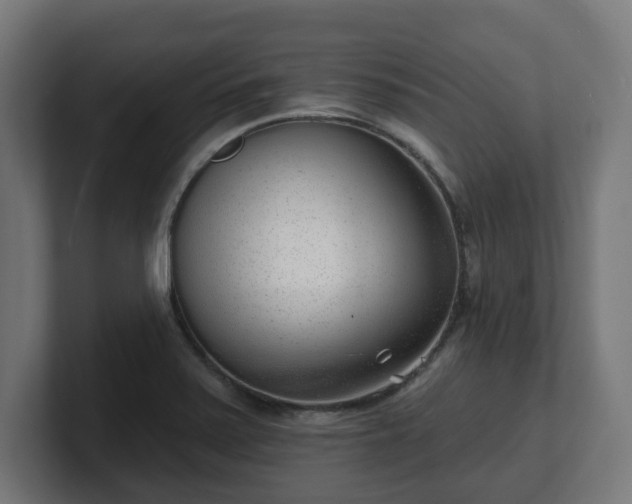 X0000101701371200807171505