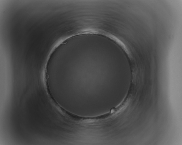 X0000101701373200807171505