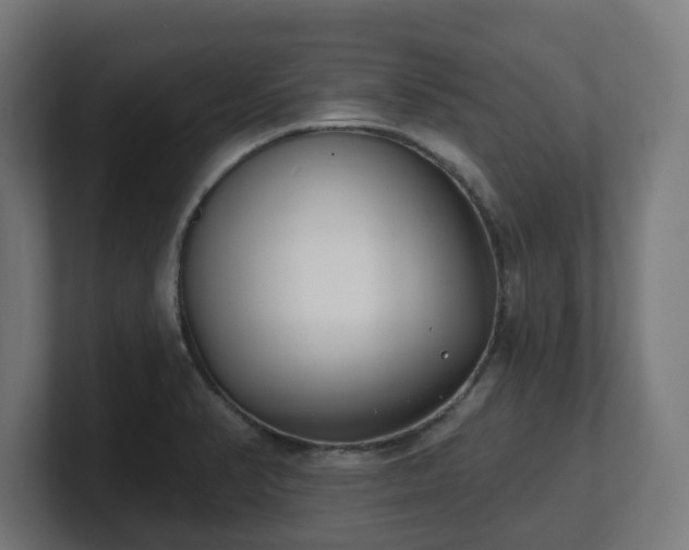 X0000101701374200807171505