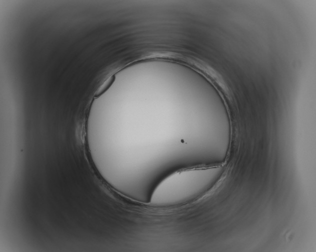 X0000101701377200807171505