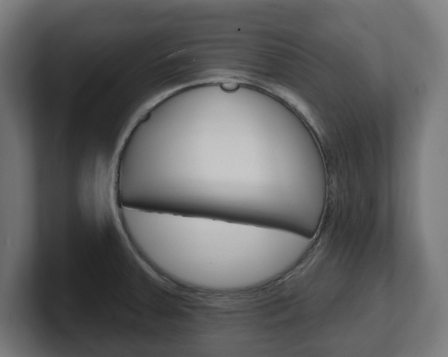 X0000101701379200807171505