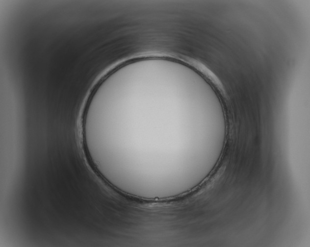 X0000101701380200807171505