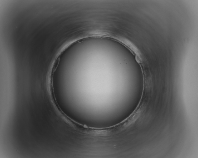 X0000101701381200807171505