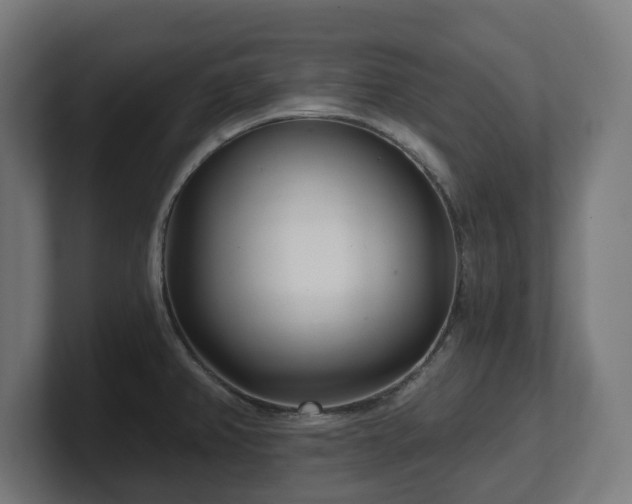 X0000101701382200807171505