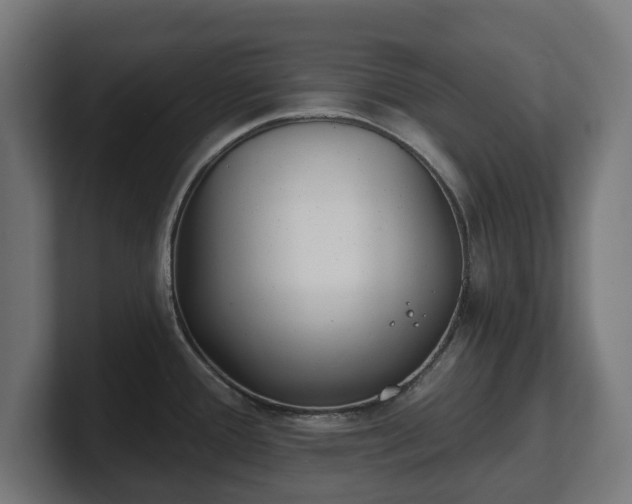 X0000101701388200807171505