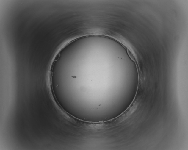 X0000101701389200807171505