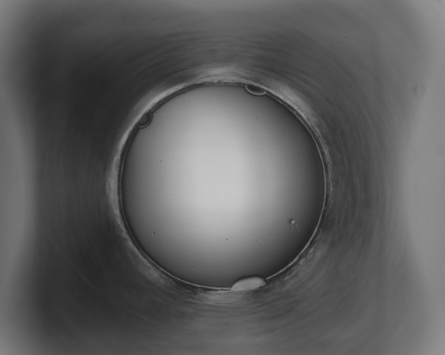 X0000101701392200807171505