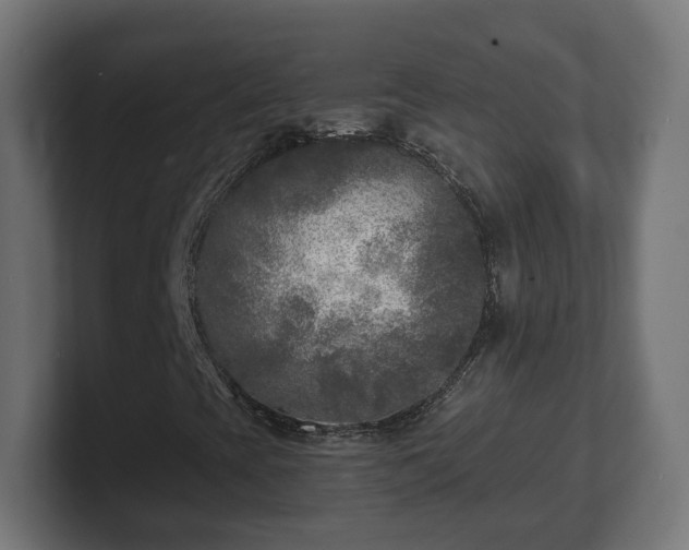 X0000101701393200807171505