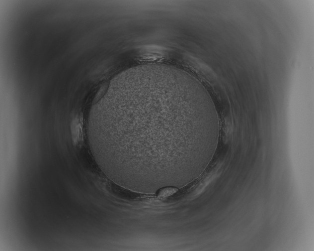 X0000101701394200807171505