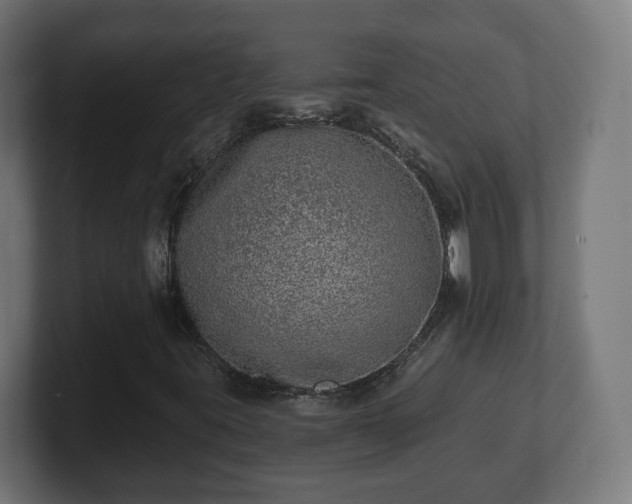 X0000101701395200807171505