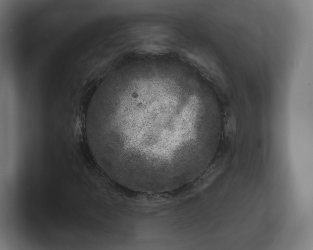 X0000101701397200807171505