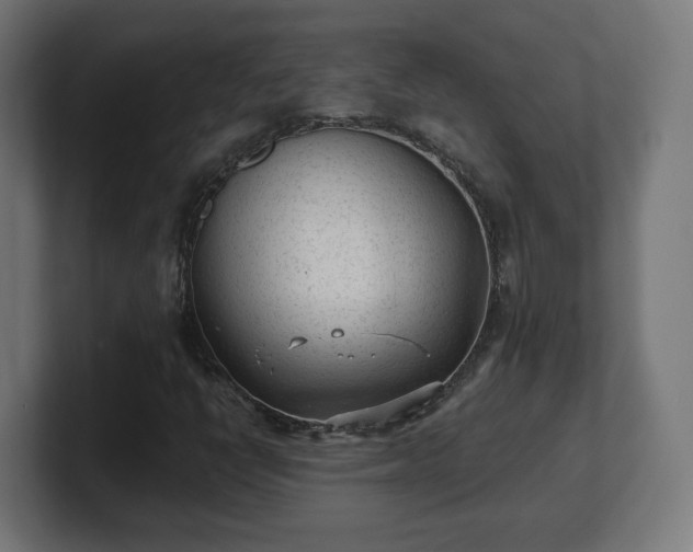 X0000101701398200807171505