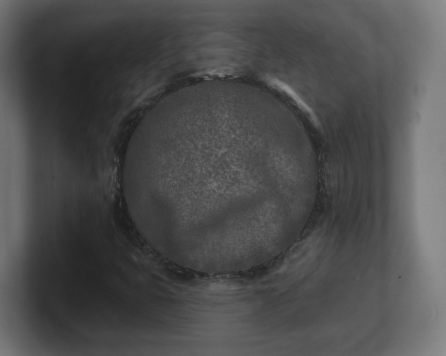 X0000101701399200807171505