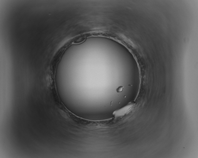 X0000101701400200807171505