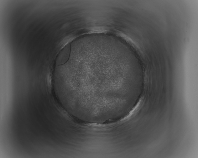 X0000101701401200807171505