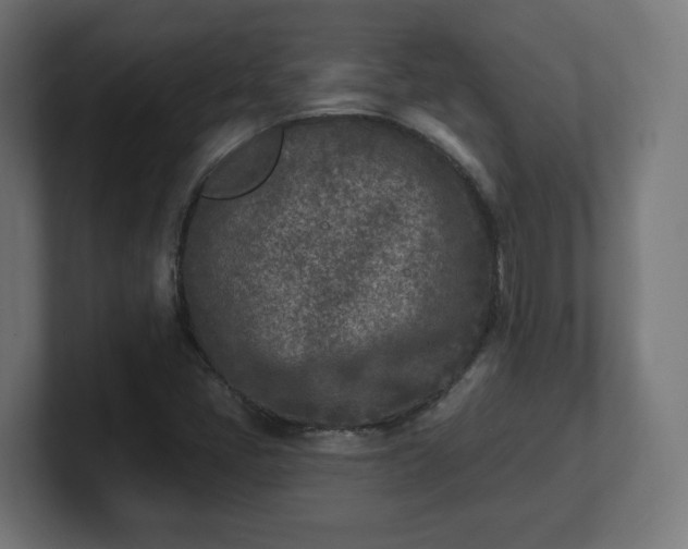 X0000101701405200807171505