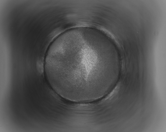 X0000101701409200807171505