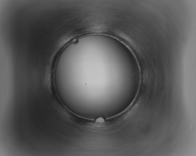 X0000101701410200807171505