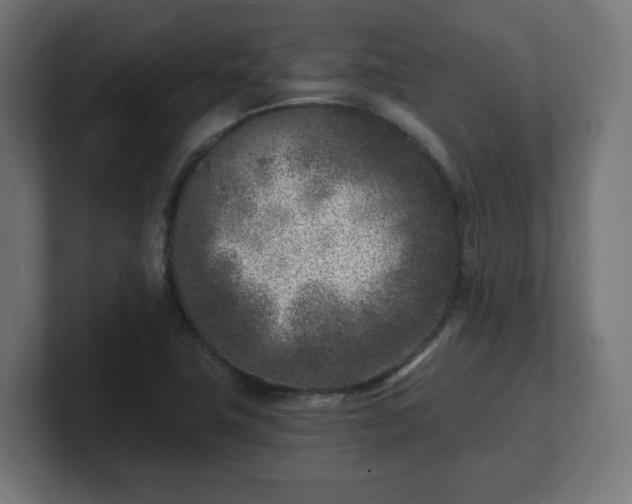 X0000101701411200807171505