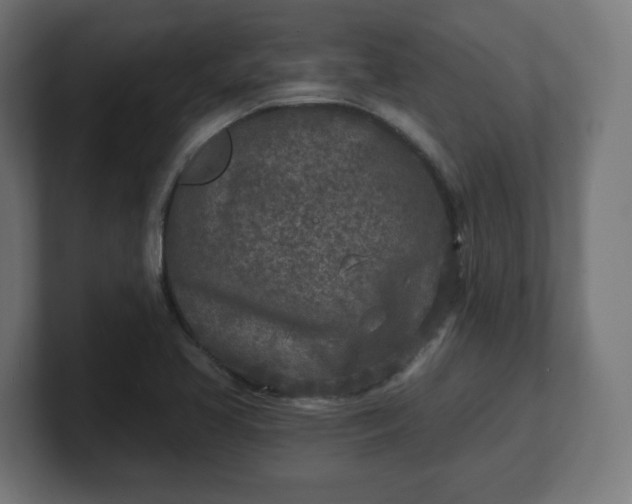 X0000101701413200807171505