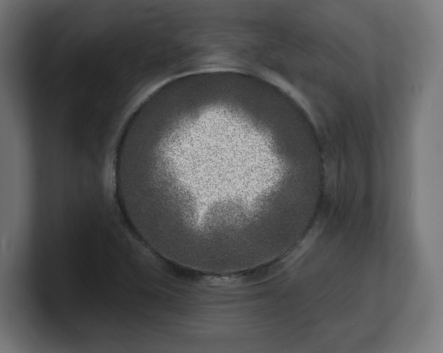 X0000101701415200807171505