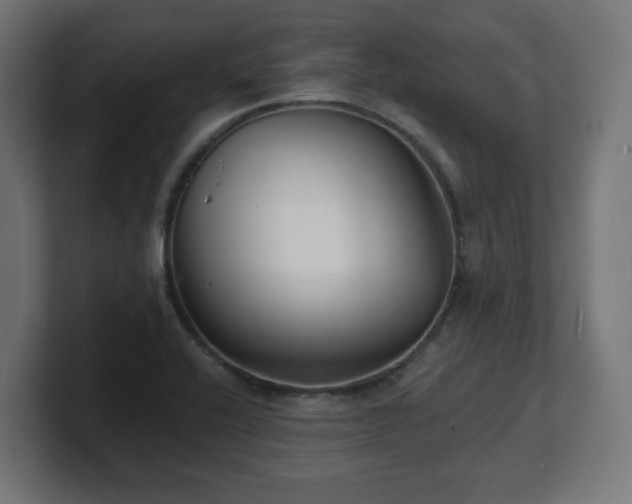 X0000101701416200807171505