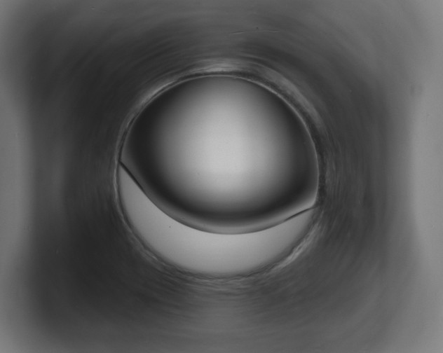 X0000101701417200807171505